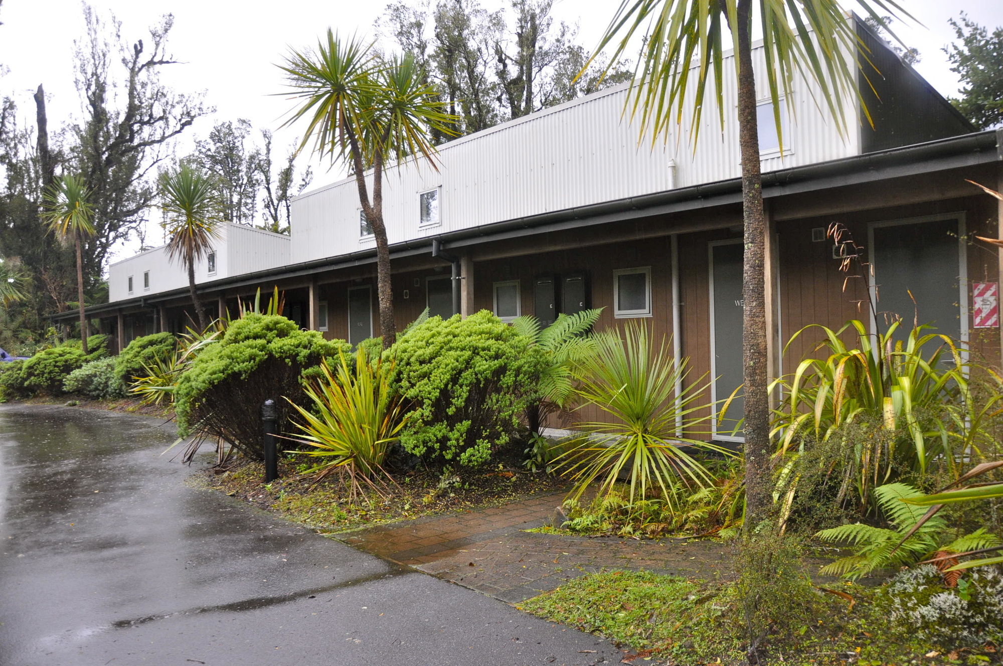 Punga Grove Motel Franz Josef Exterior photo